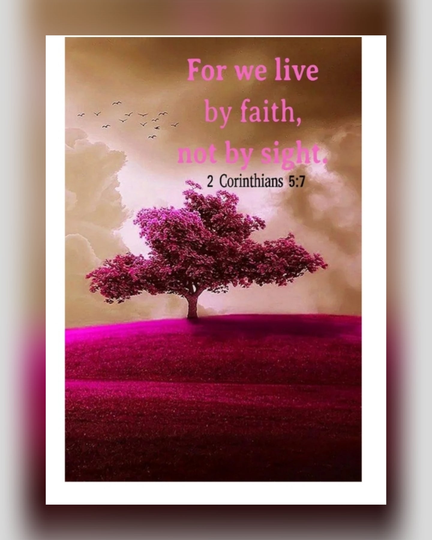 Prayer Journal For Women: Prayer Notebook for Women of God